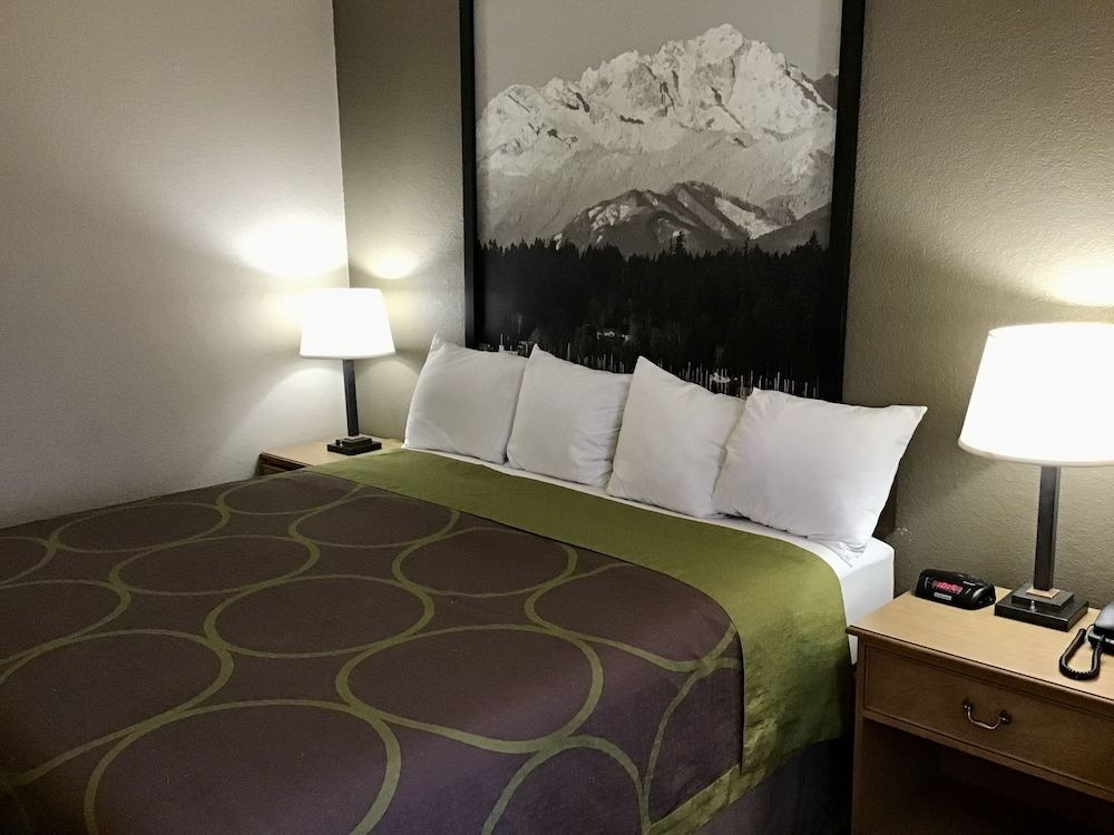 Room, 1 King Bed