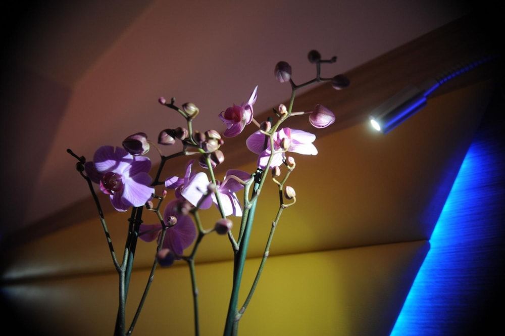 undefined Ostia Antica Suite BB 4