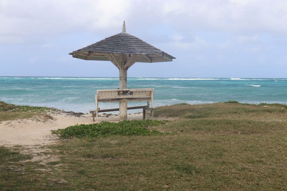 Beach Palm Villa