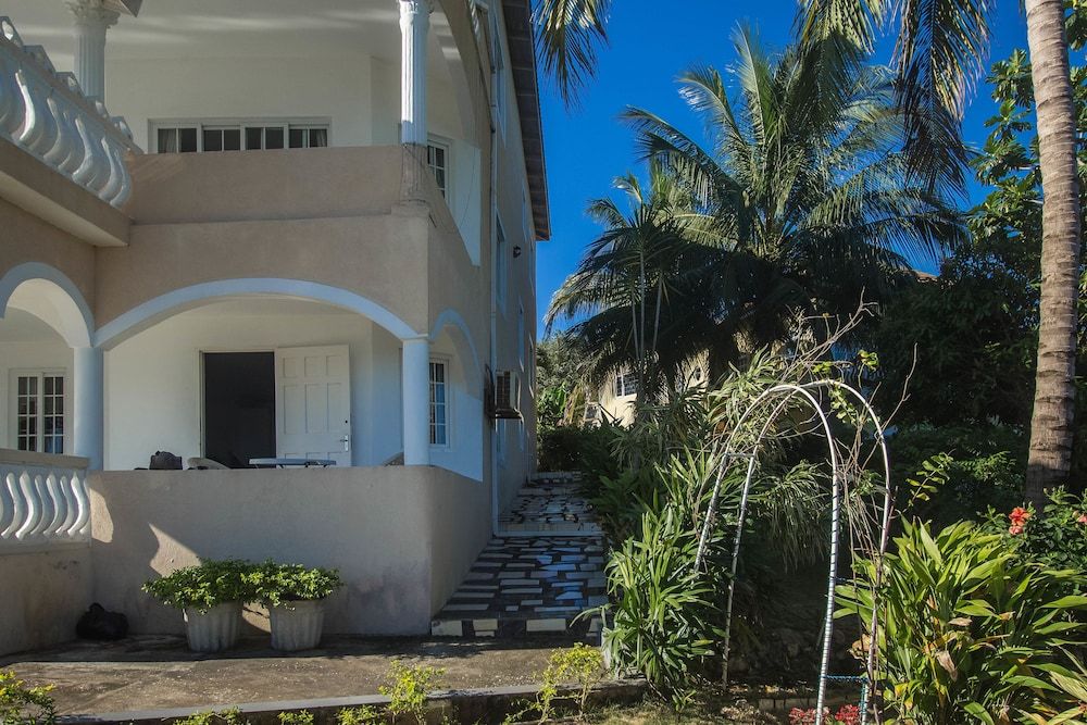 Tall Palms