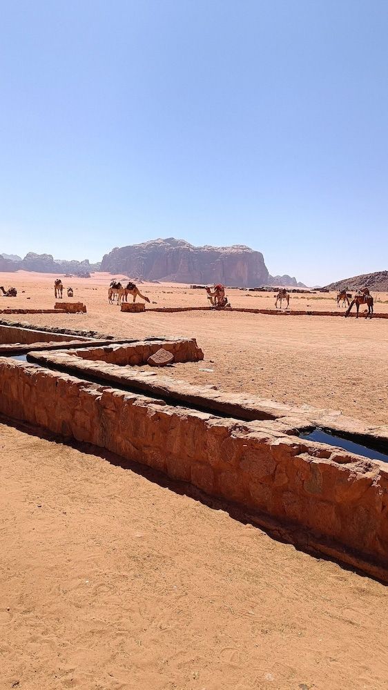 undefined Wadi Rum Classic Camp 7