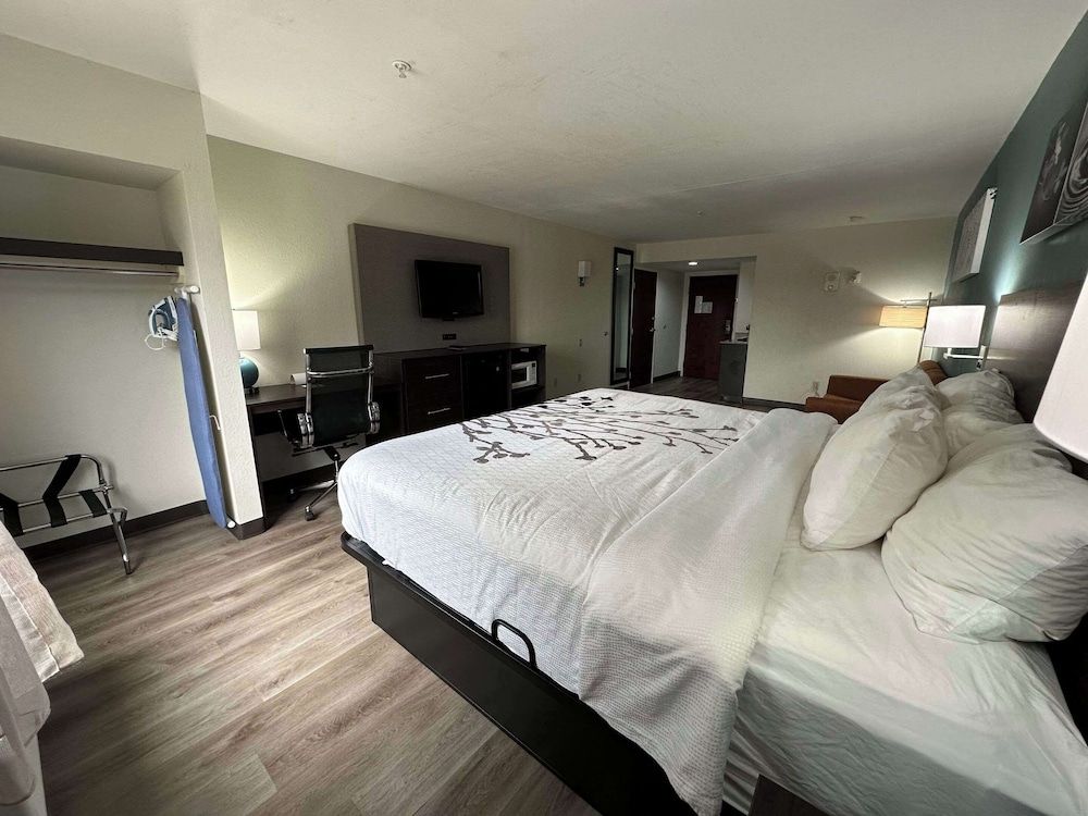 Business Suite, Multiple Beds, Accessible, Non Smoking (Efficiency)