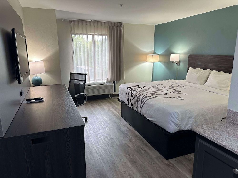 Standard Room, 1 King Bed, Non Smoking