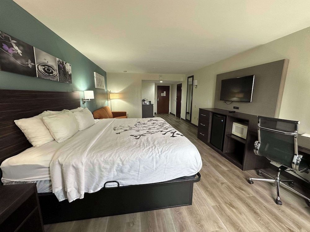 Business Room, 1 King Bed, Accessible, Non Smoking