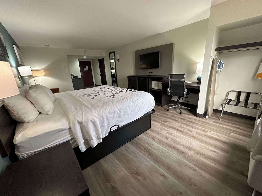 Suite, 1 King Bed with Sofa bed, Non Smoking (Upgrade)