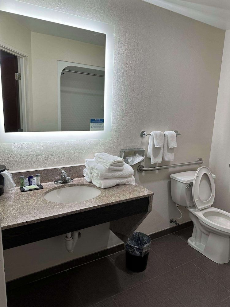 Room, 1 King Bed, Accessible, Non Smoking