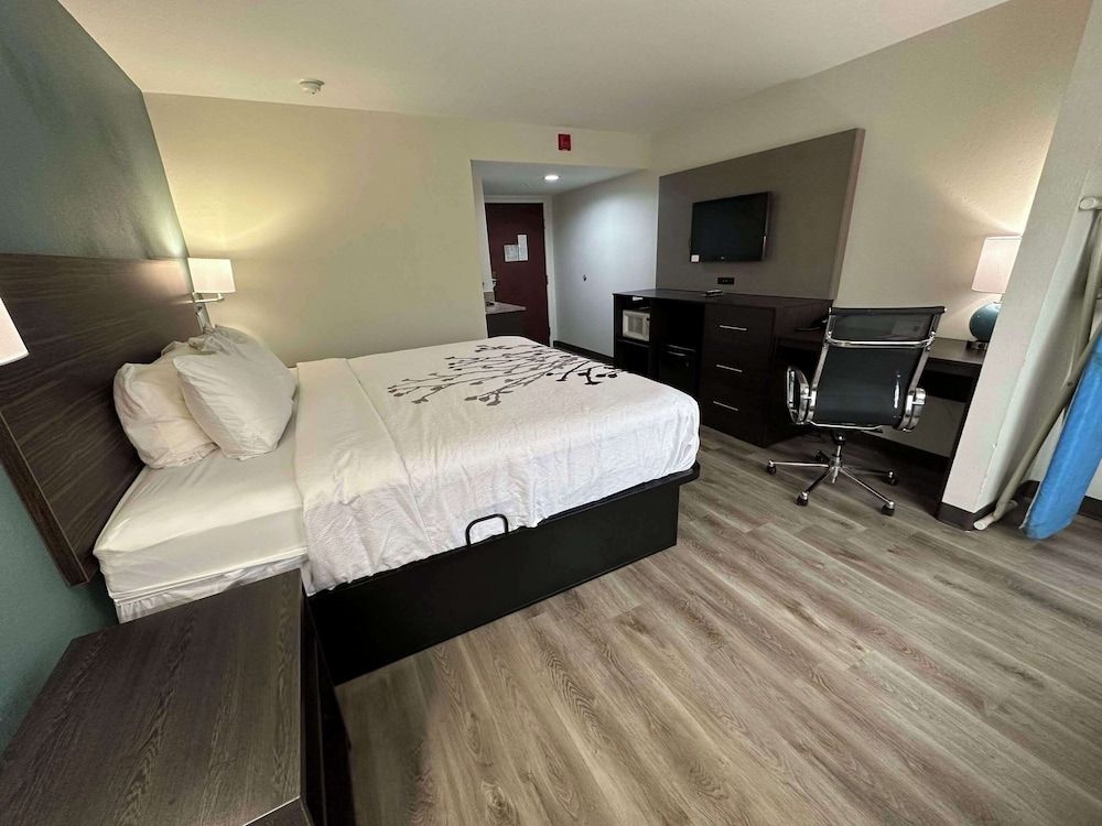 Room, 1 King Bed, Accessible, Non Smoking