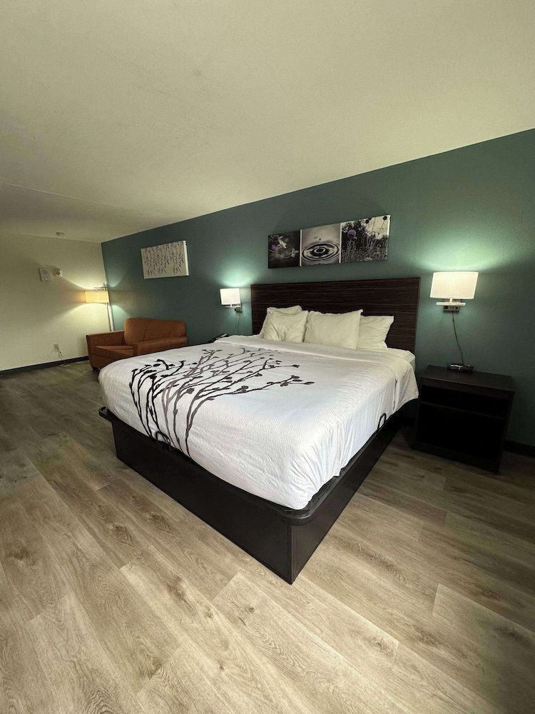 Business Suite, 1 King Bed, Non Smoking (Efficiency)