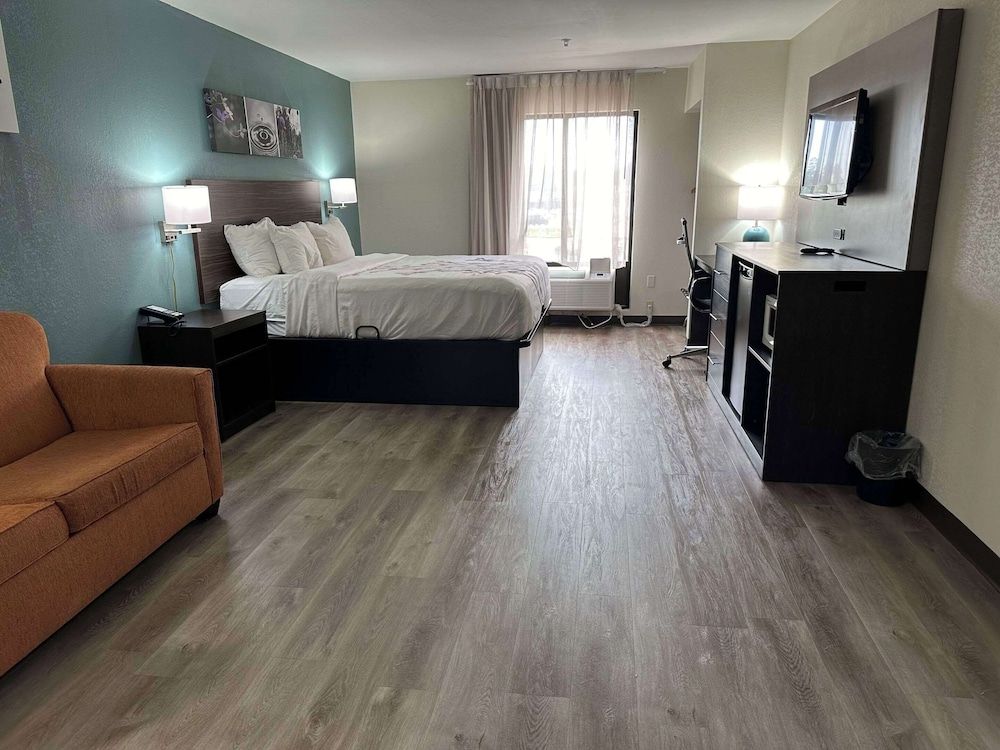 Business Suite, 1 King Bed, Non Smoking (Efficiency)