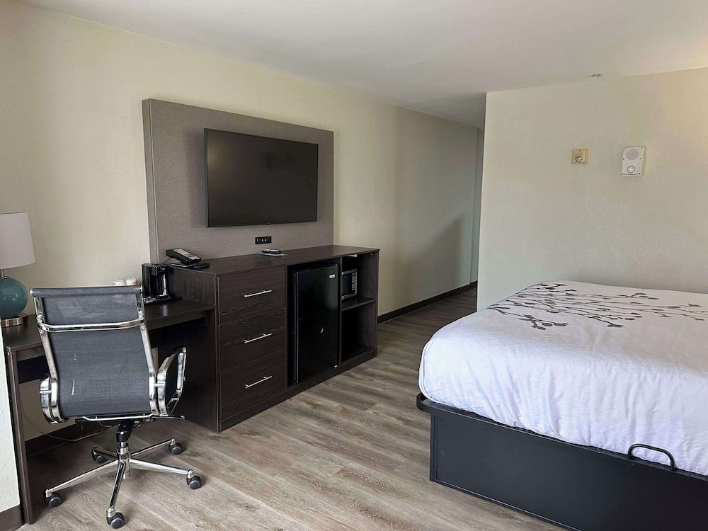 Suite, Multiple Beds, Hearing Accessible, Non Smoking (Efficiency)