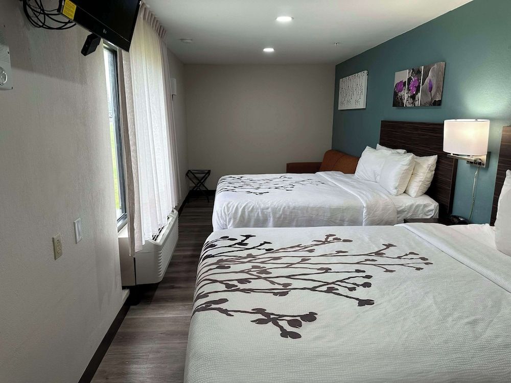 Suite, Multiple Beds, Hearing Accessible, Non Smoking (Efficiency)