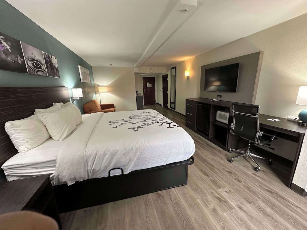 Suite, 1 King Bed, Non Smoking
