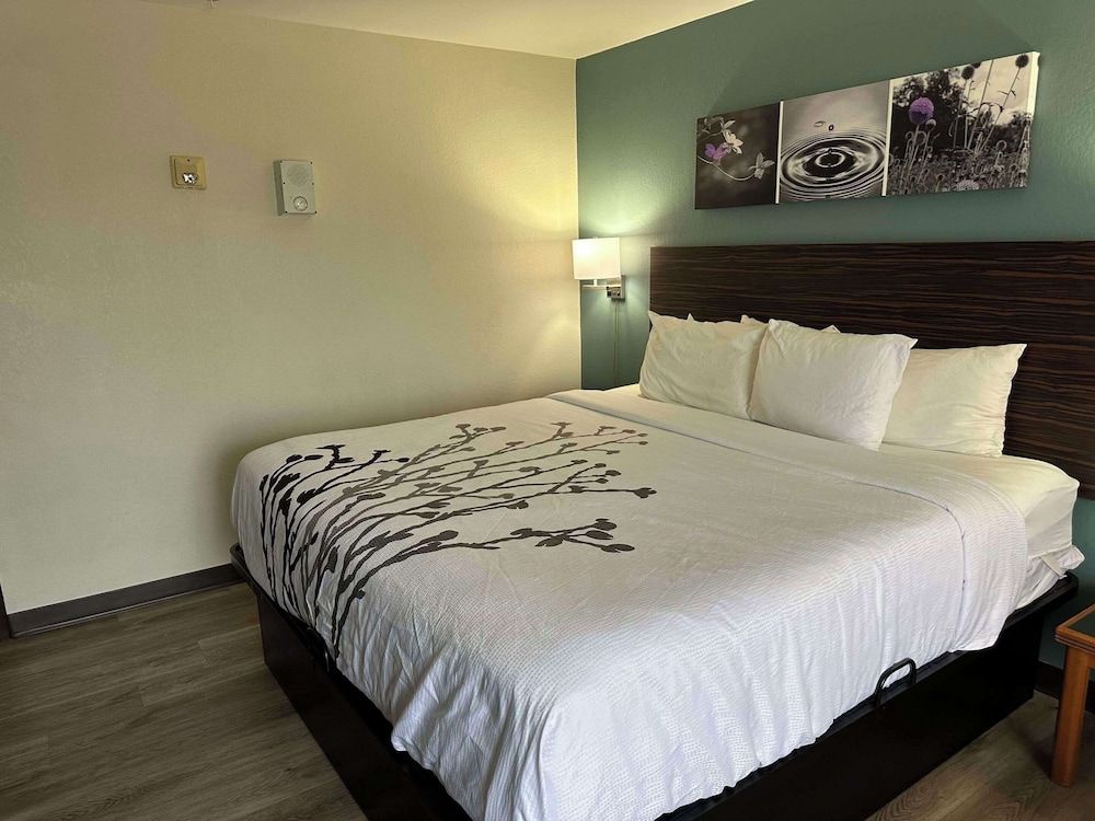 1 King Bed, Business Room, Nonsmoking, Accessible