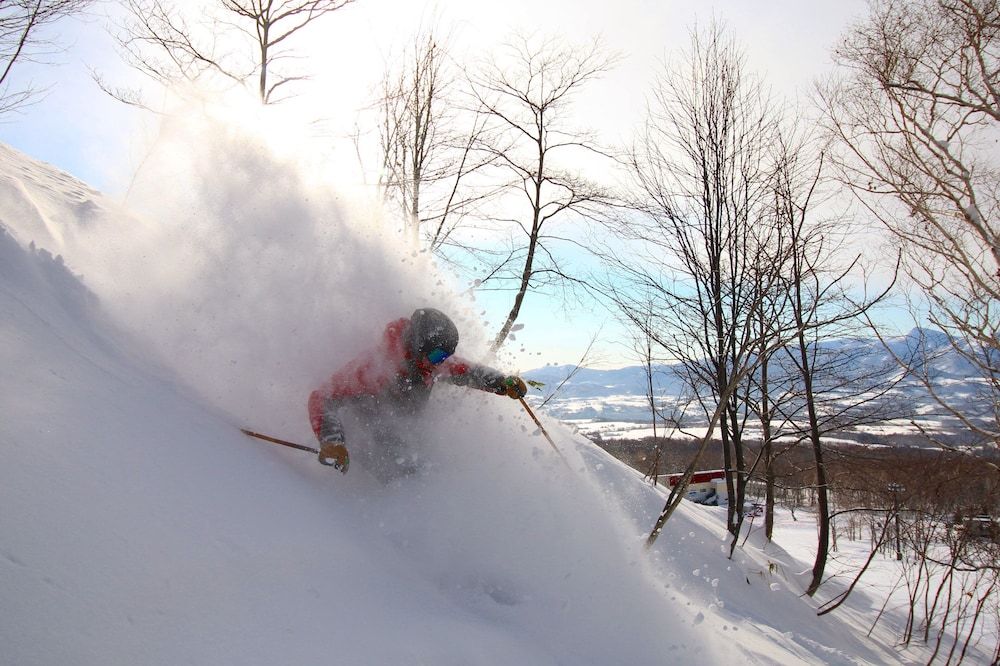 Cocoa Niseko