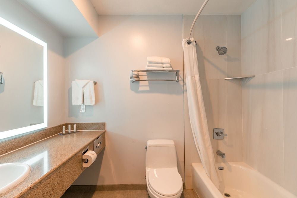 Hotel Aluxor SFO Business Room, 1 King Bed 5