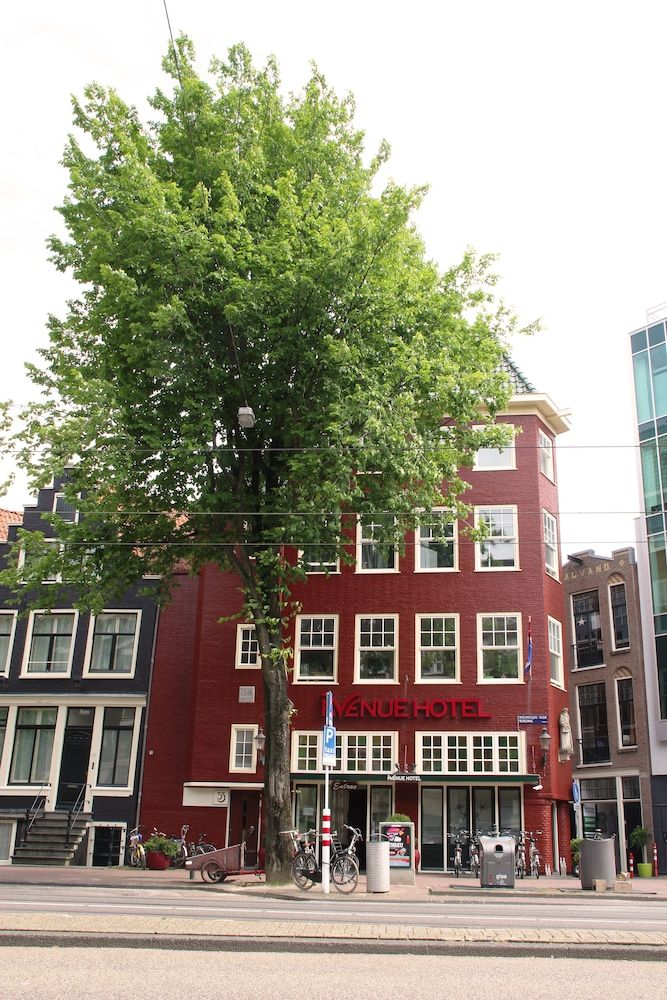 undefined Hotel Avenue 10