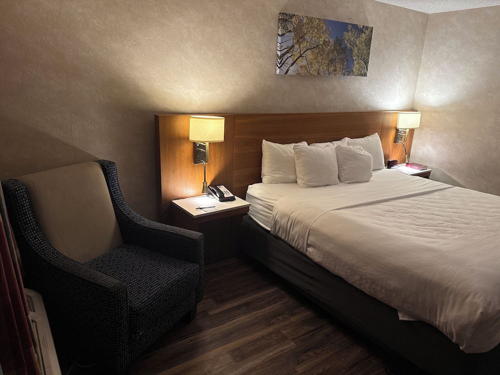 Standard Room, 1 King Bed, Non Smoking