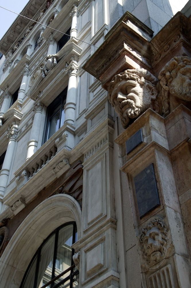 undefined Sina The Gray 2