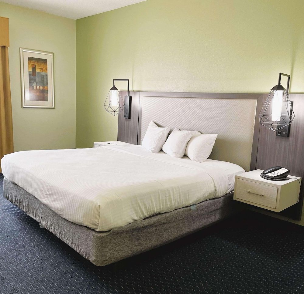 Room, 1 King Bed, Non Smoking