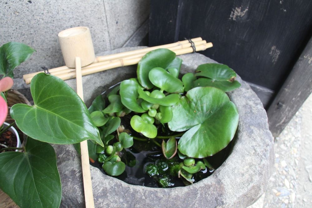 undefined Gallery Nozawa Inn 5