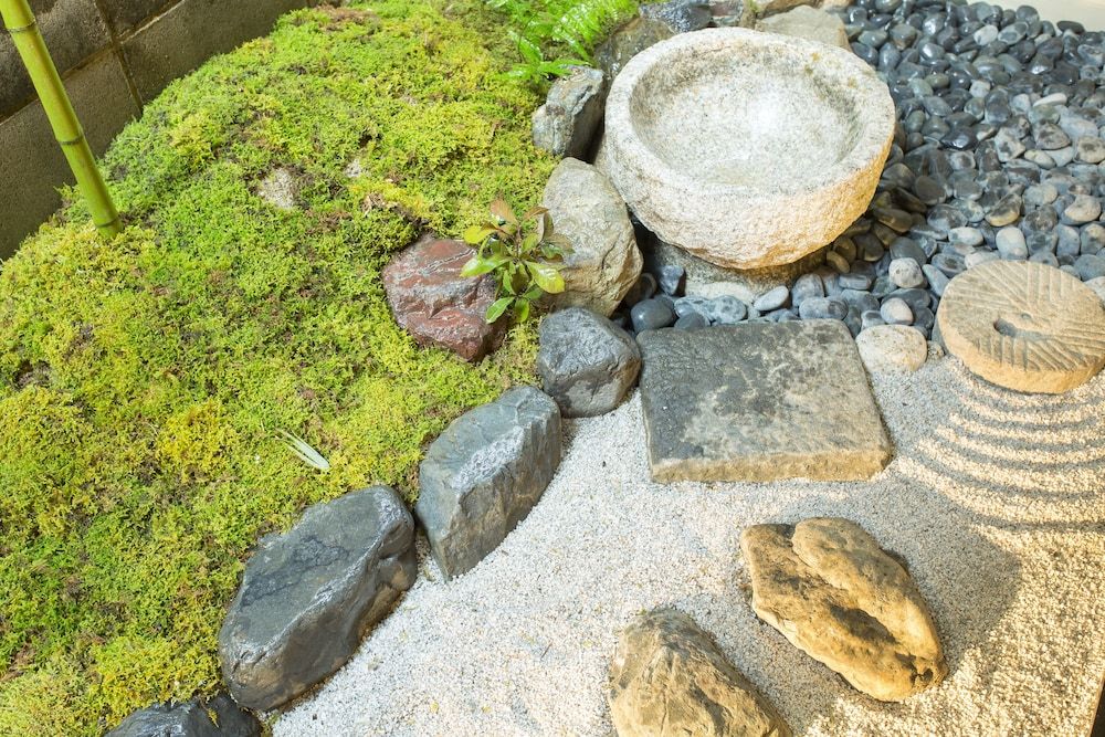 undefined Kikoku no Mori 8