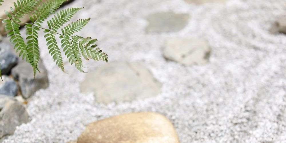 undefined Kikoku no Mori 10