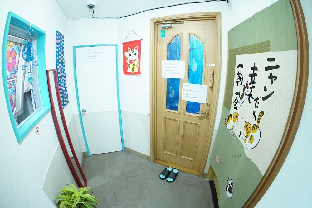 undefined stay PIKO 5