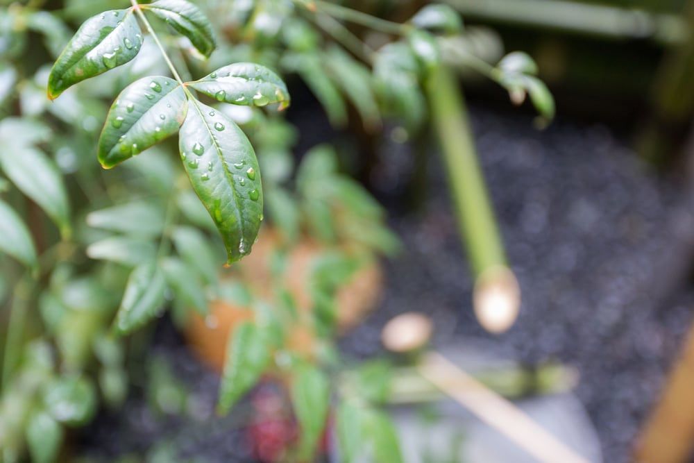 undefined Guest House Kyorakuya Kinkakuji 4