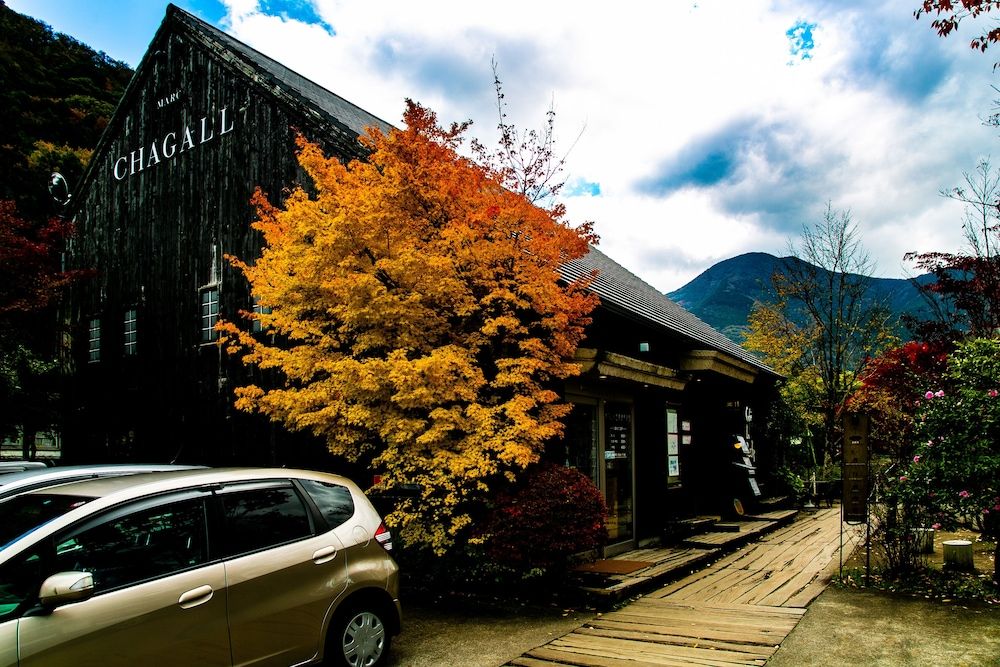 Land View from Property