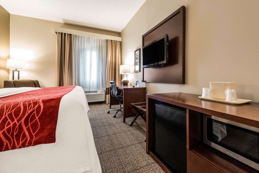 Room, 1 King Bed, Non Smoking