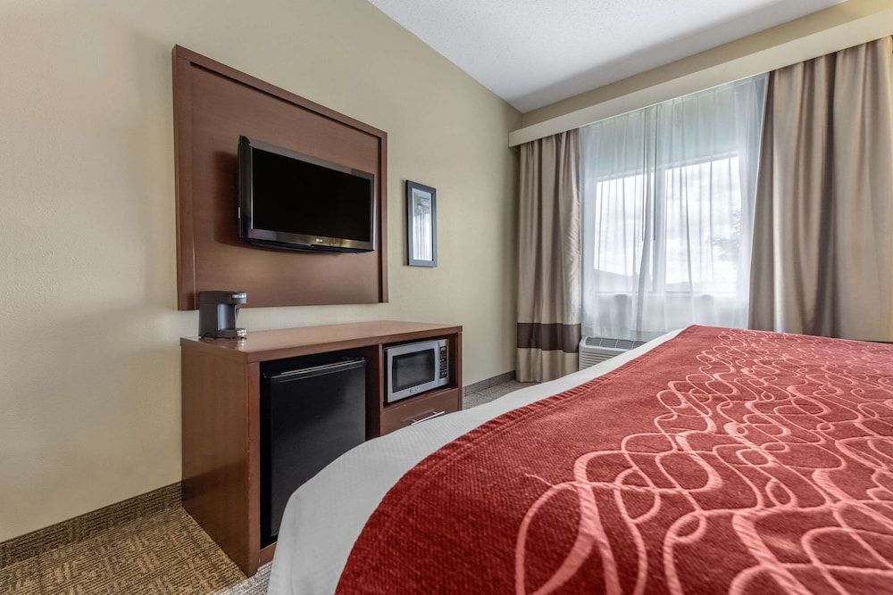 Room, 1 King Bed, Accessible, Non Smoking (Roll-In Shower)