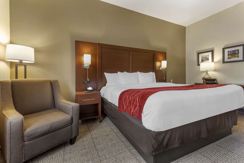 Room, 1 King Bed, Non Smoking