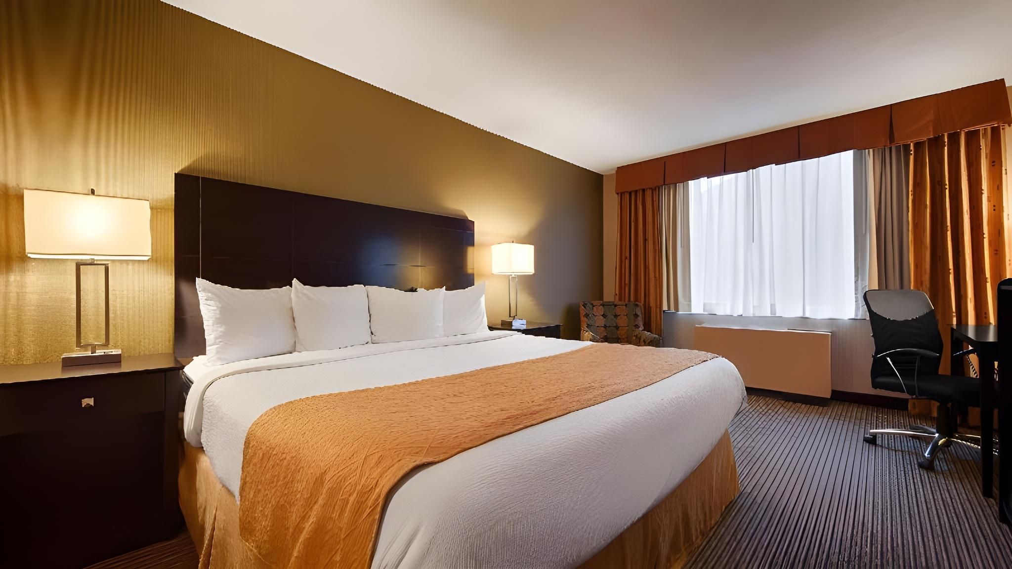 King Room - Pet Friendly/Non-Smoking