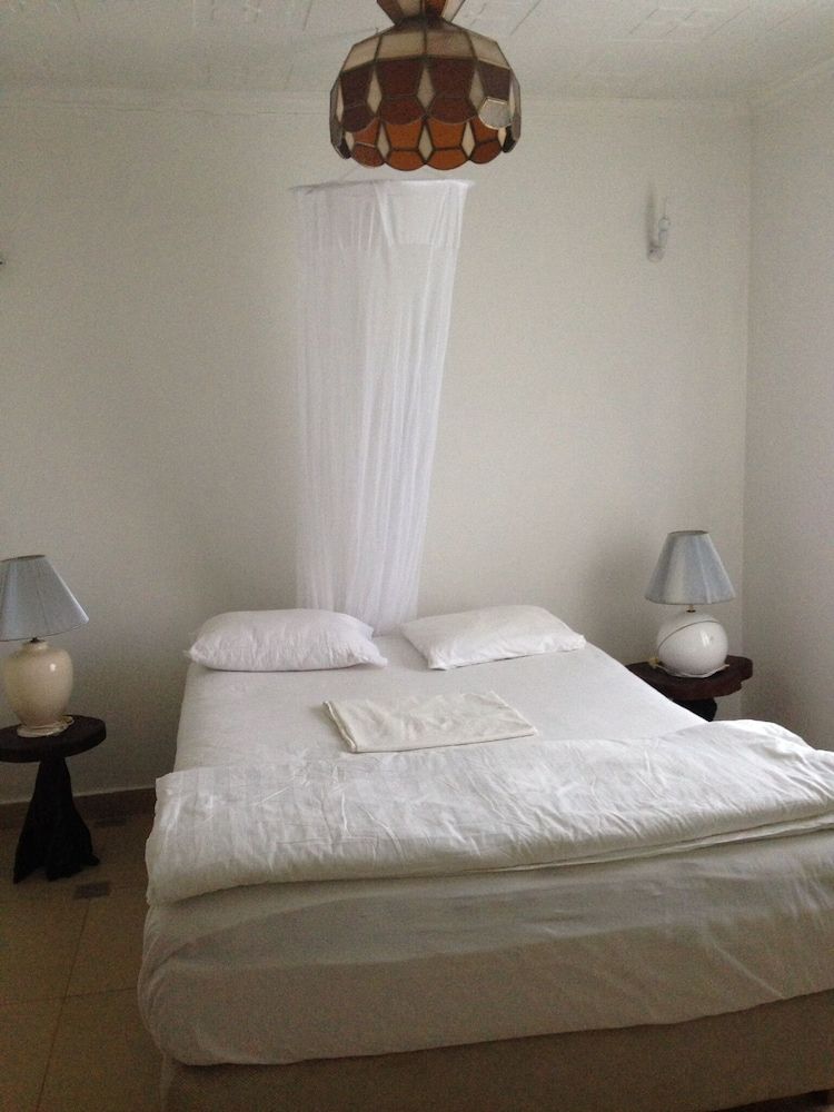 Coco-De-Ville Palm Weaver 2