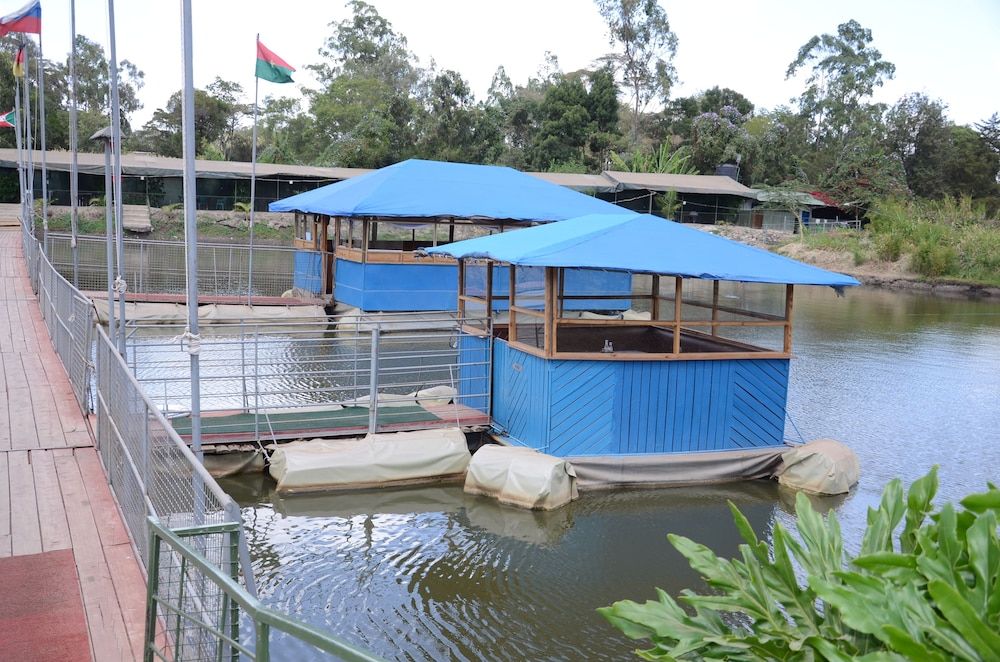 Lake