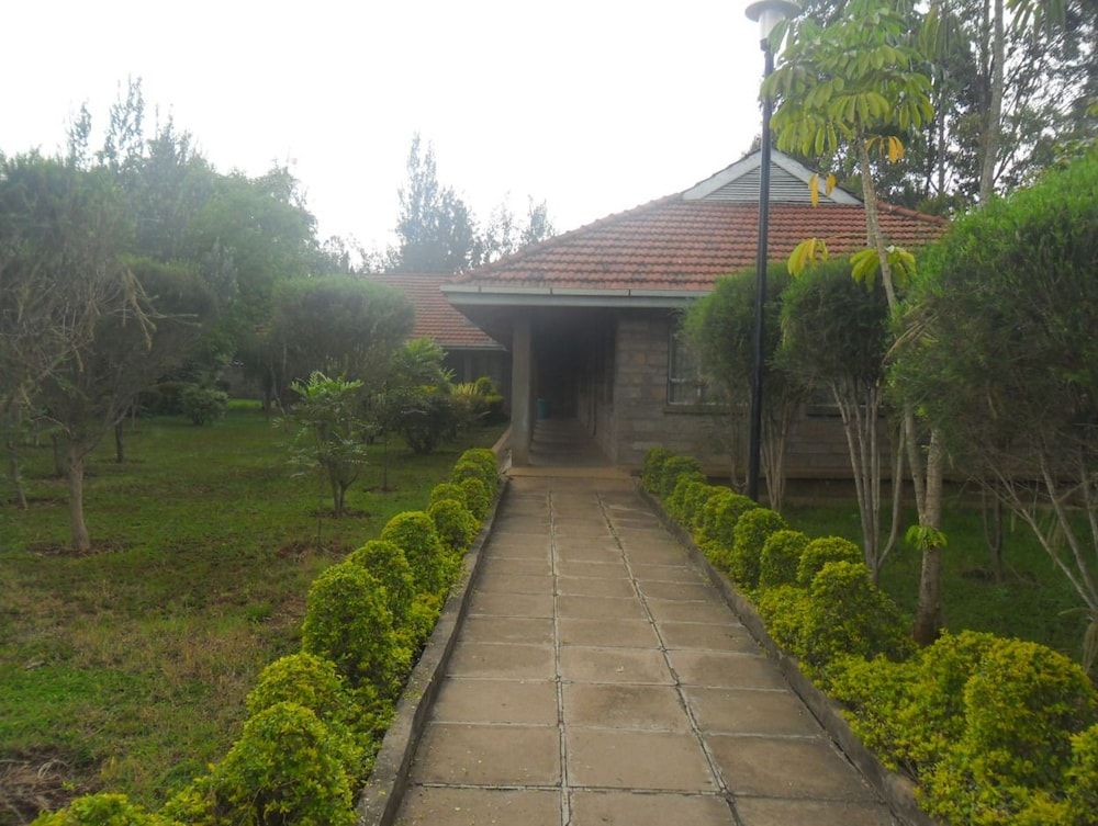 Primary image