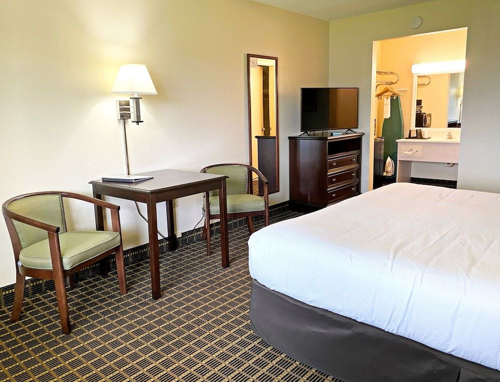 Single Room, 1 King Bed