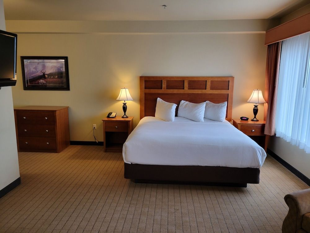 Deluxe Room, 1 King Bed with Sofa bed, Kitchen (Large King Studio Half Kitchen)