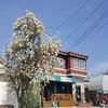 The Guesthouse DMZ Stay - Hostel