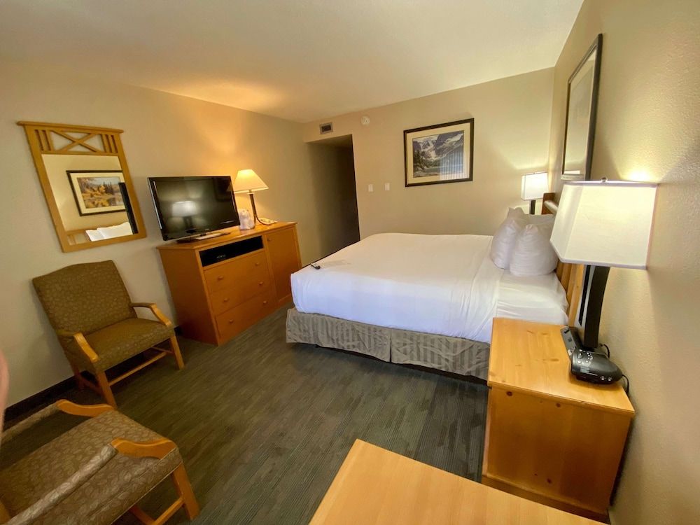 Standard Room, 1 King Bed, Non Smoking (Pet Friendly)