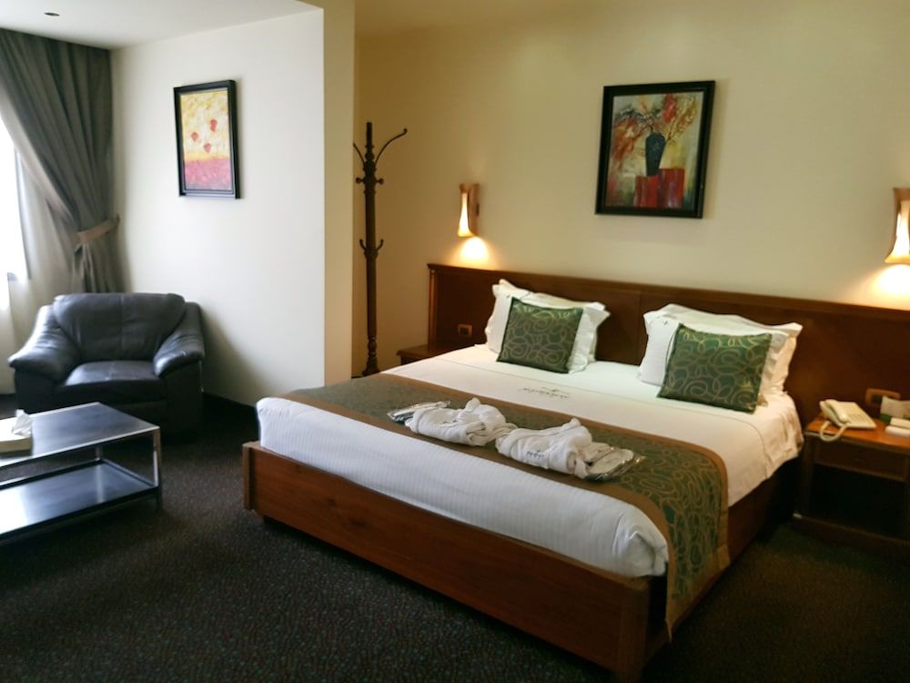 Madisson Hotel Presidential Suite, Mountain View 5