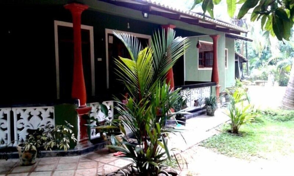 undefined Green Bamboo House 4