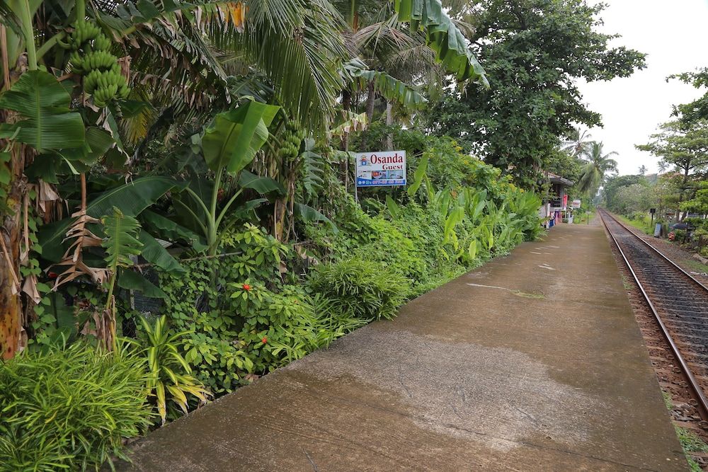 undefined Osanda Guest 7