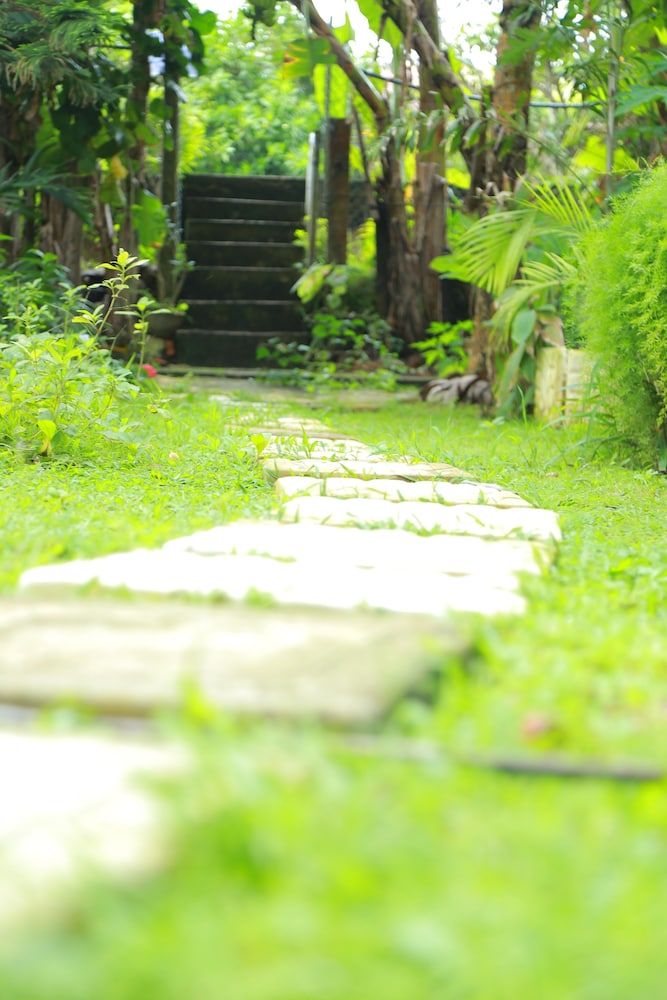 undefined Osanda Guest 10