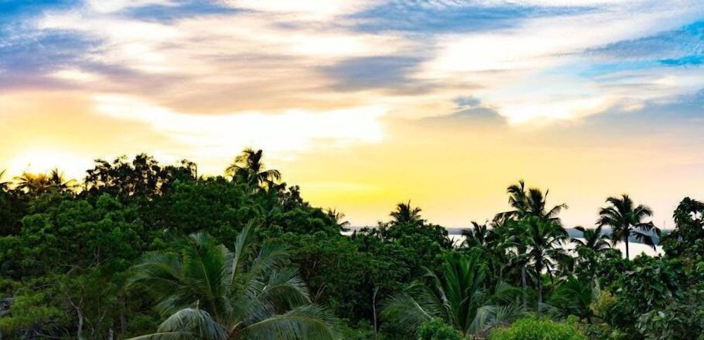 Turtle Paradise Deluxe Double Room, 1 King Bed, Garden View, Ground Floor 8