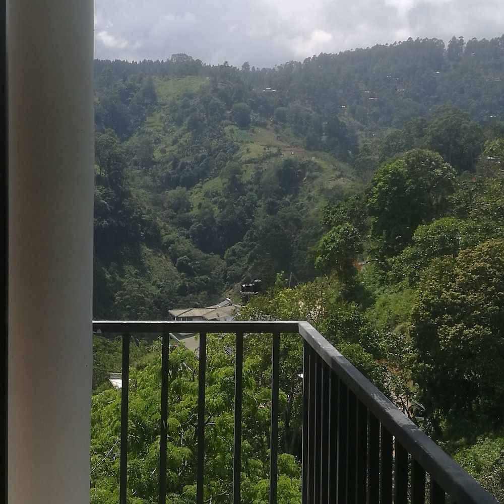 undefined Viewfront Ella 6