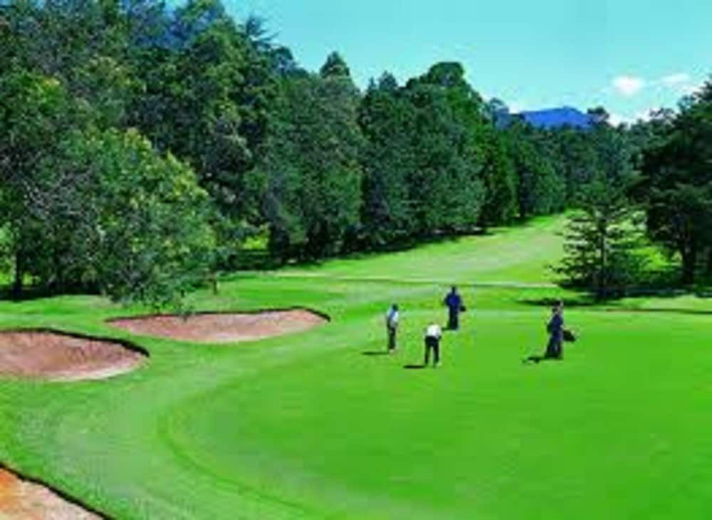 undefined Sana Guest 5