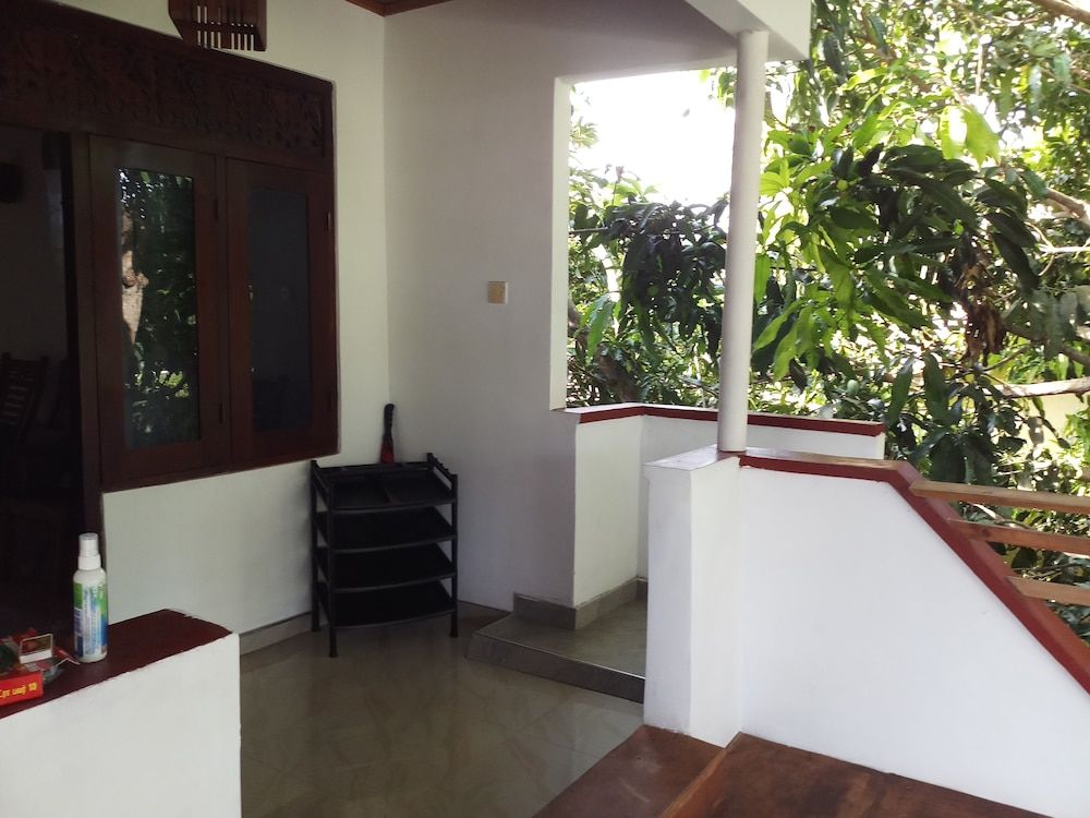 undefined Sana Guest 3