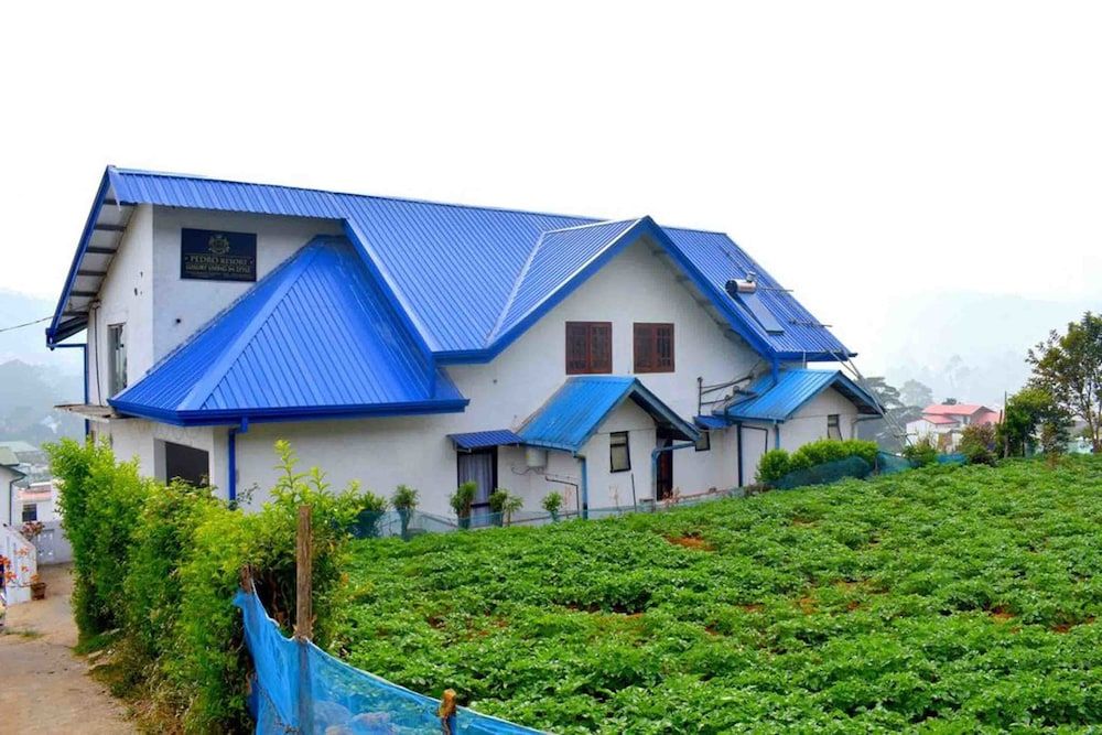 undefined Yoho Pedro Resort