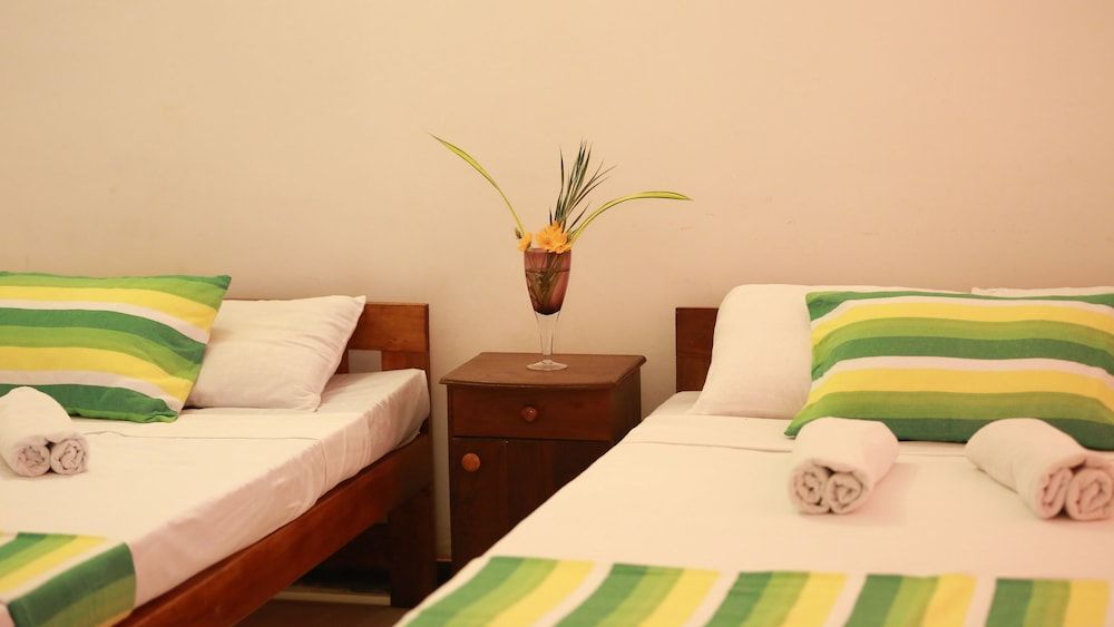 Indi Rose Garden Rose Livia 3